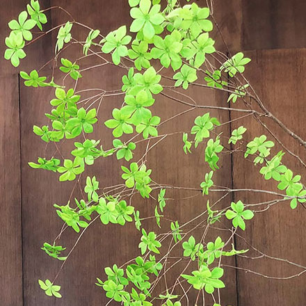 深圳vi設(shè)計(jì)公司作品案例展示