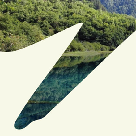 VI公司作品案例展示